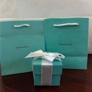 Tiffany & Co. Gift Bags